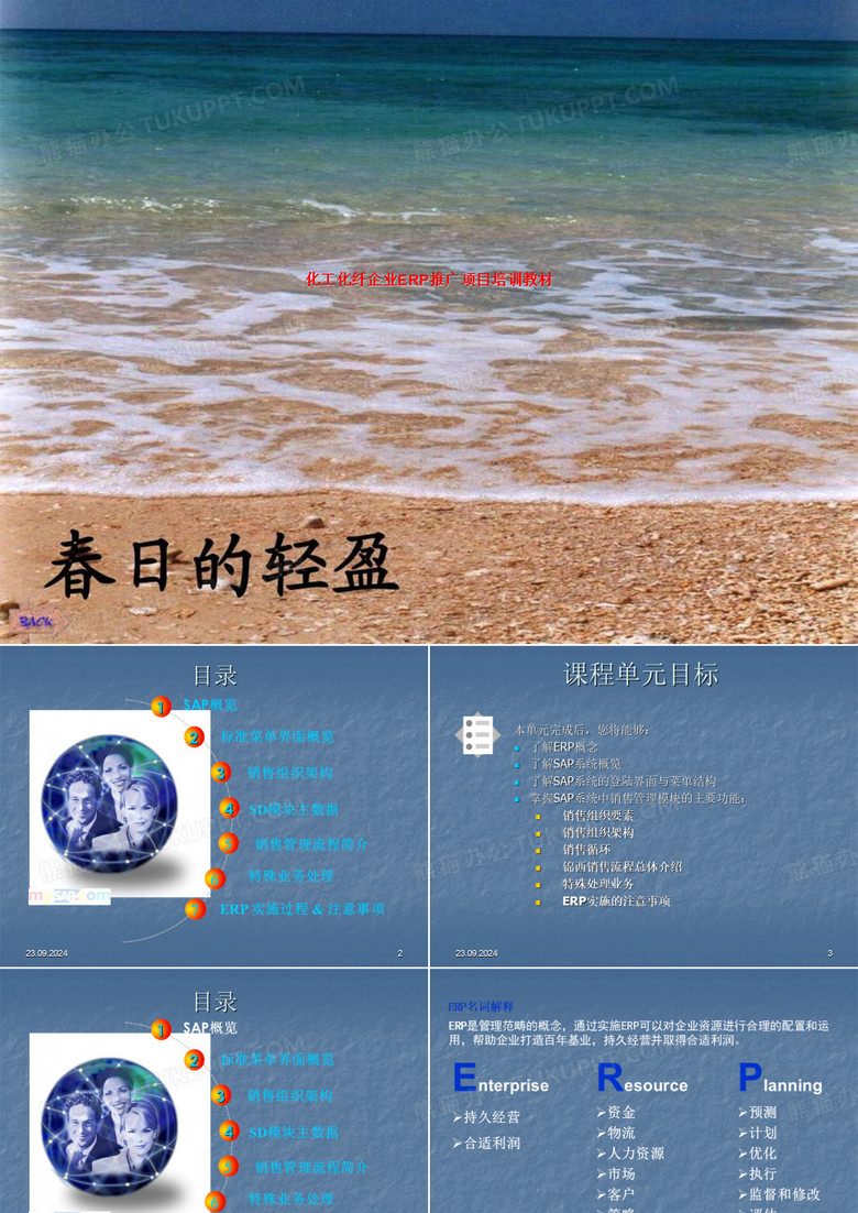 化工化纤企业ERP推广项目培训教材