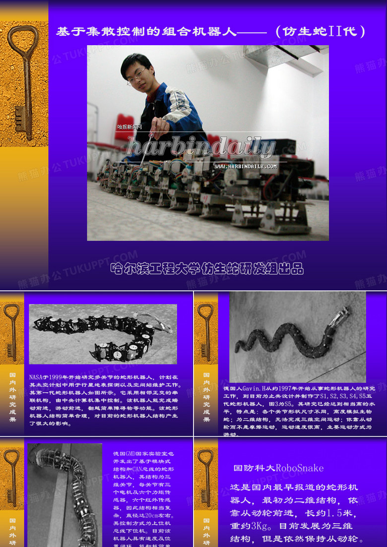 仿生蛇