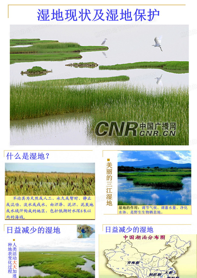 湿地现状及保护