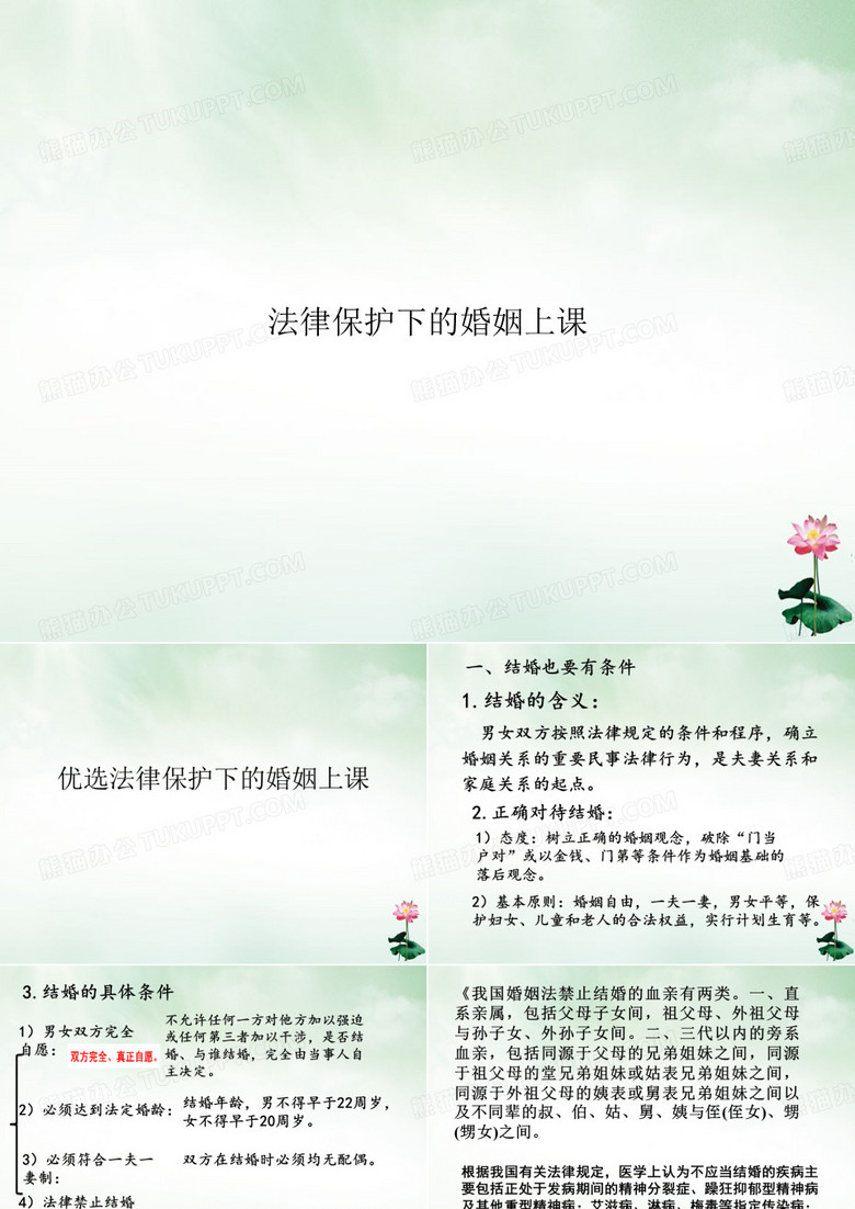 法律保护下的婚姻上课讲课PPT