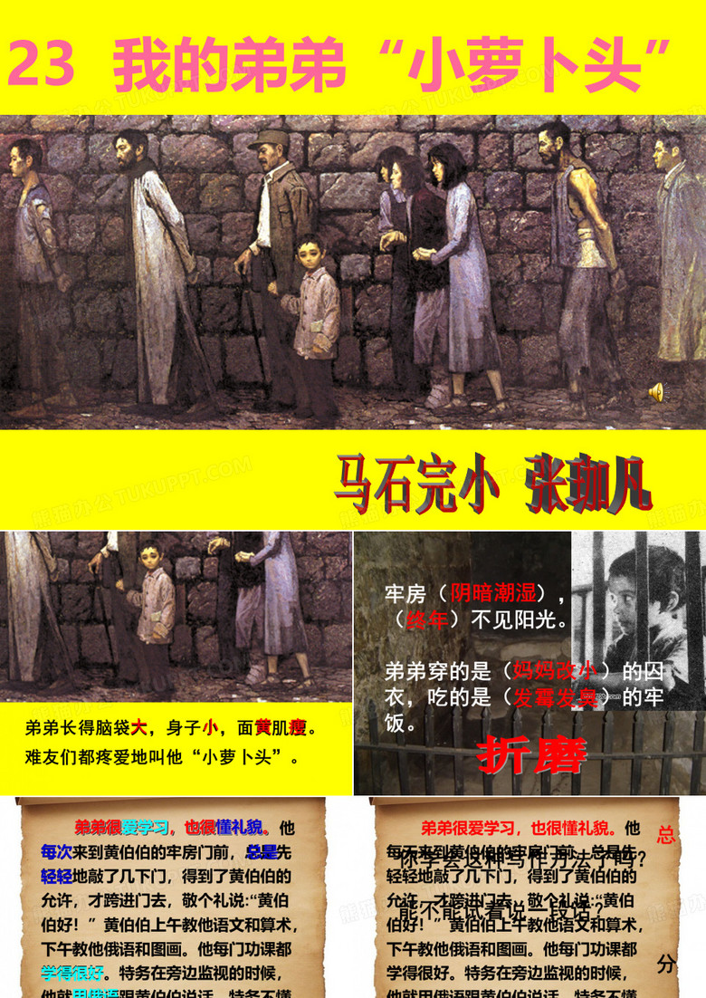 课件  我的弟弟小萝卜头