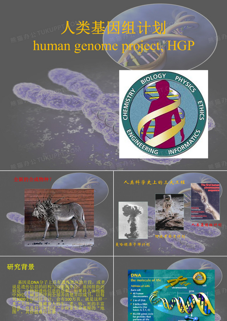 人类基因组计划