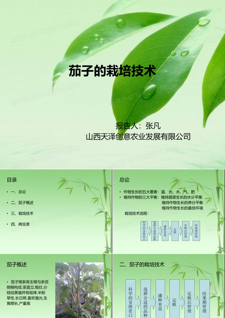 茄子的栽培技术