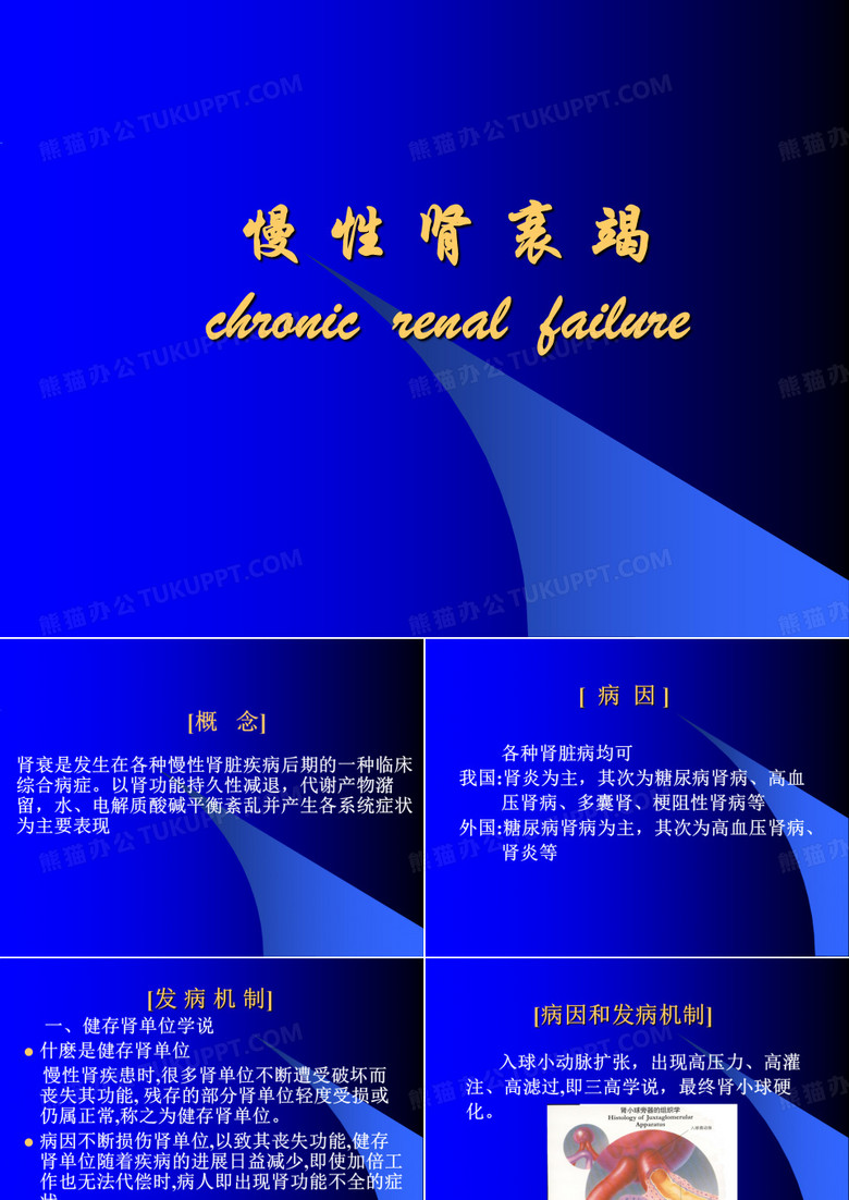慢性肾衰 ppt课件