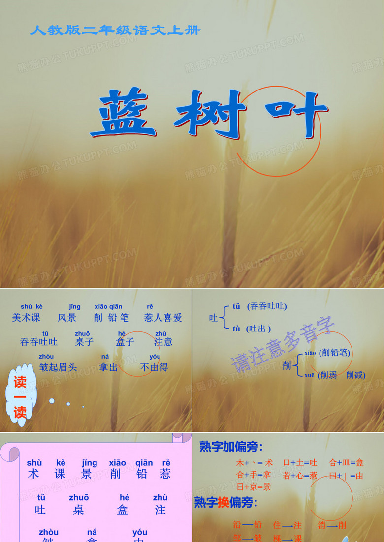 最新-最新二年级语文上册 蓝树叶课件   精品