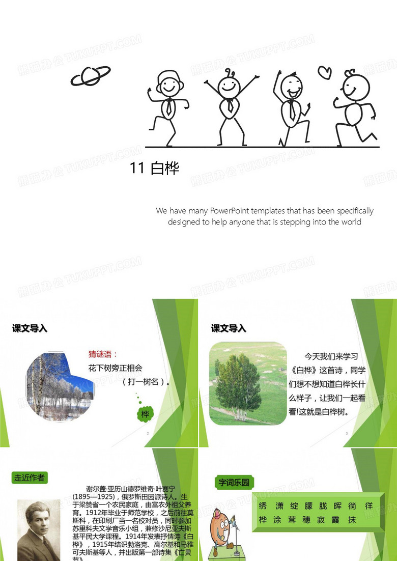11 白桦