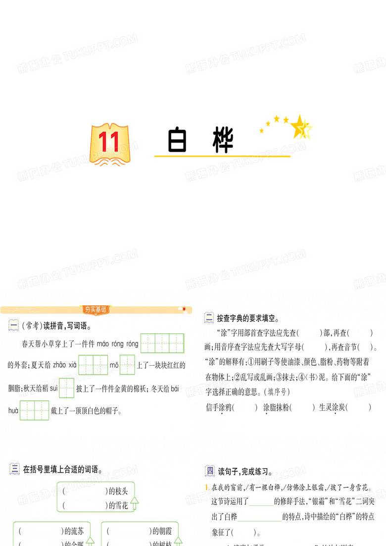 11 白桦