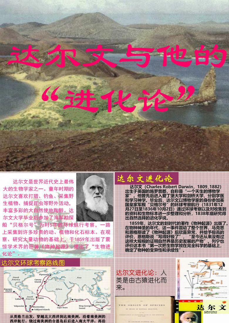 达尔文的“进化论”