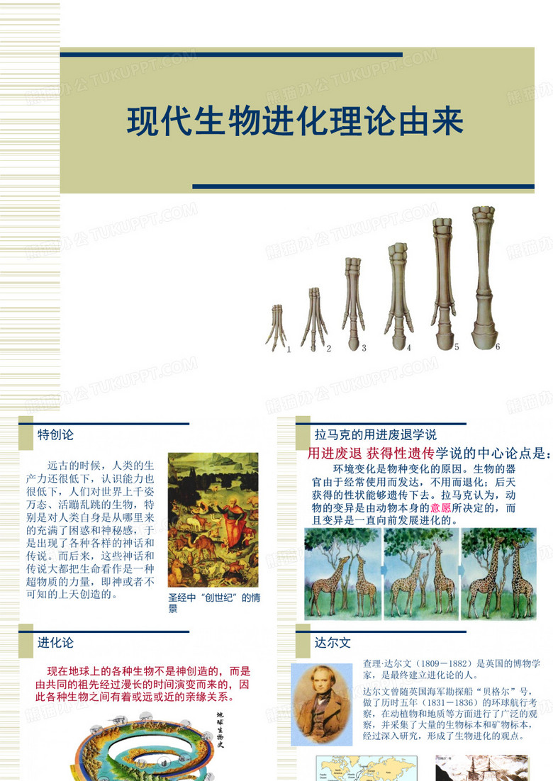 进化论.2