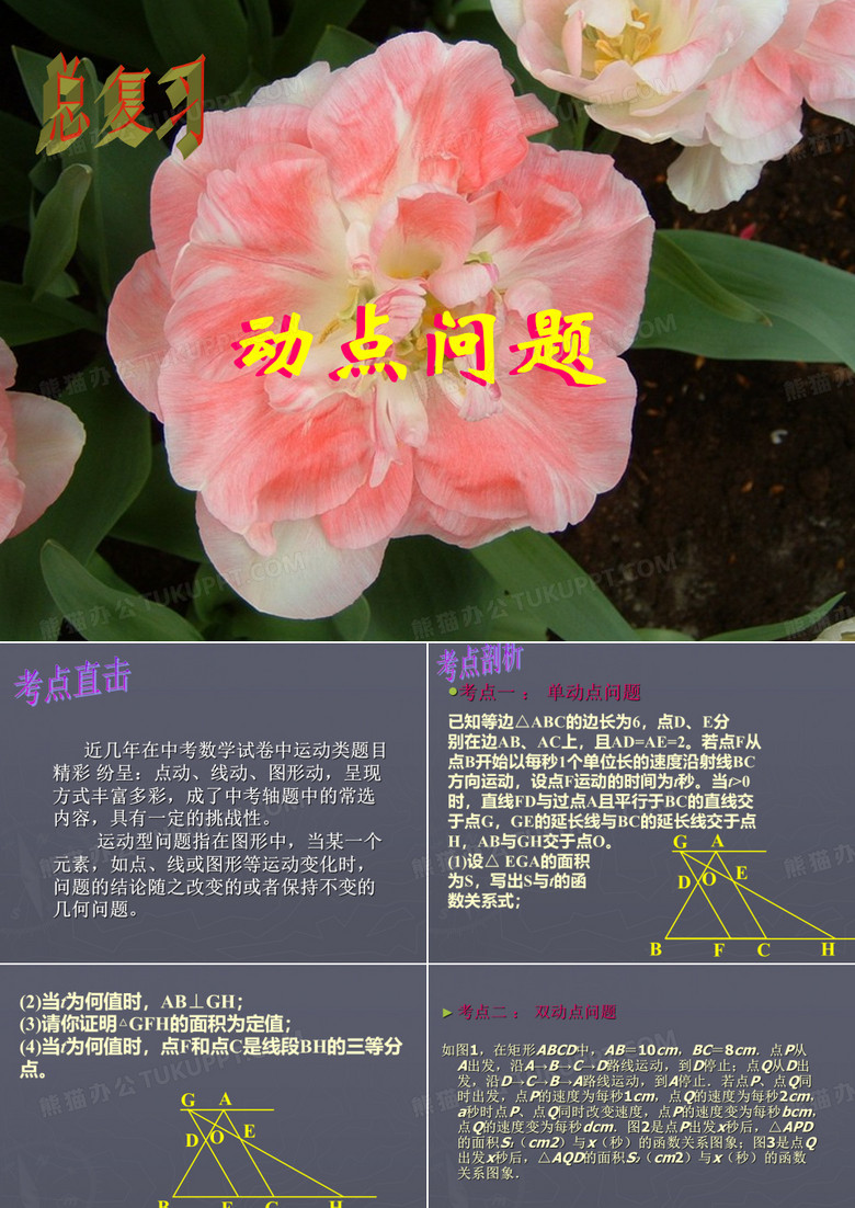 动点问题