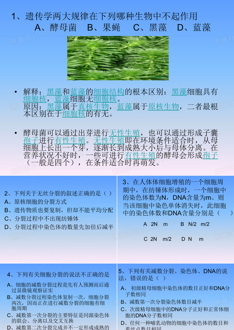 细胞分裂