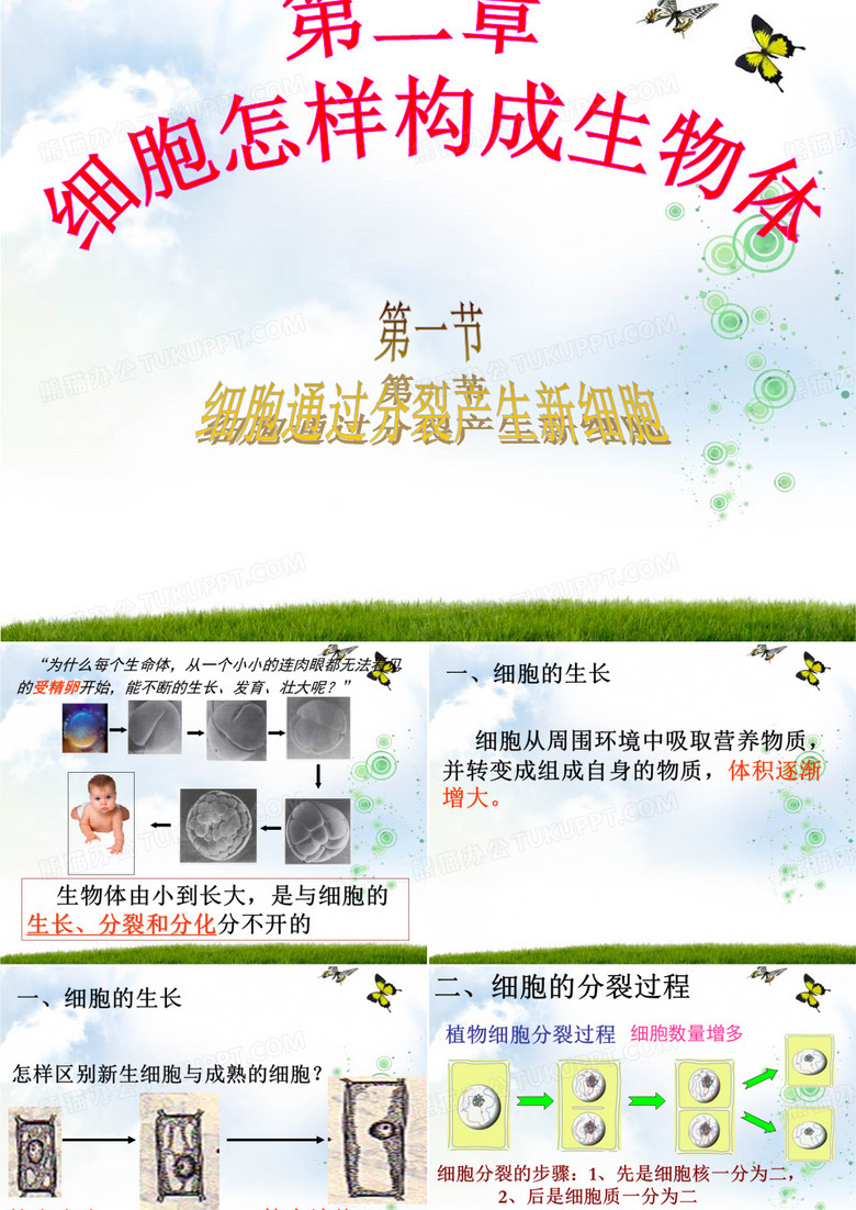 细胞分裂