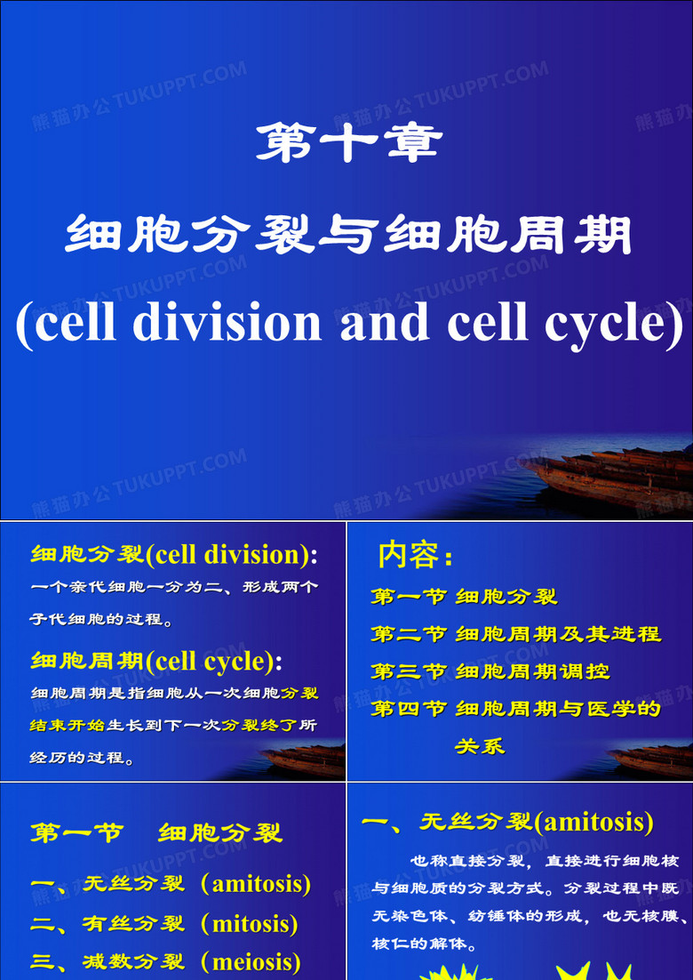 细胞分裂与细胞周期