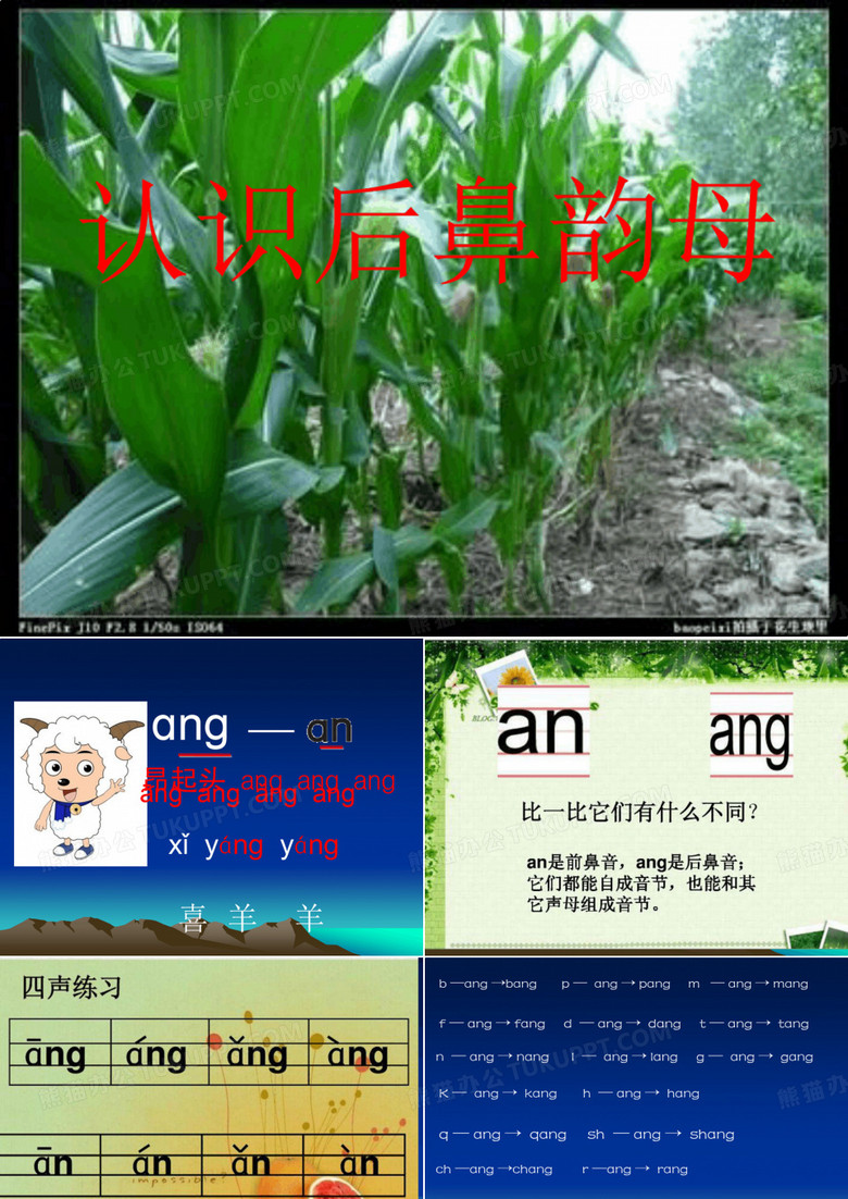 后鼻韵母ang