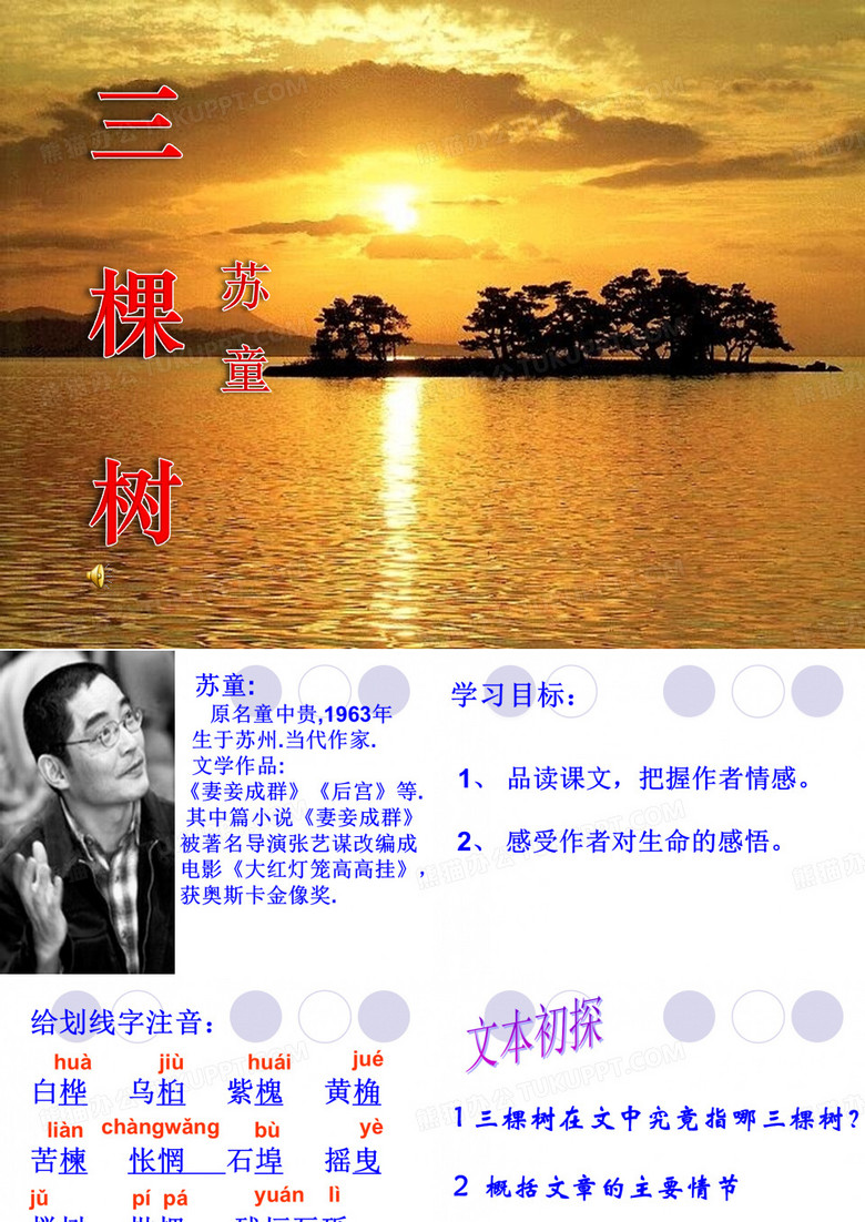 三棵树 PPT优秀课件