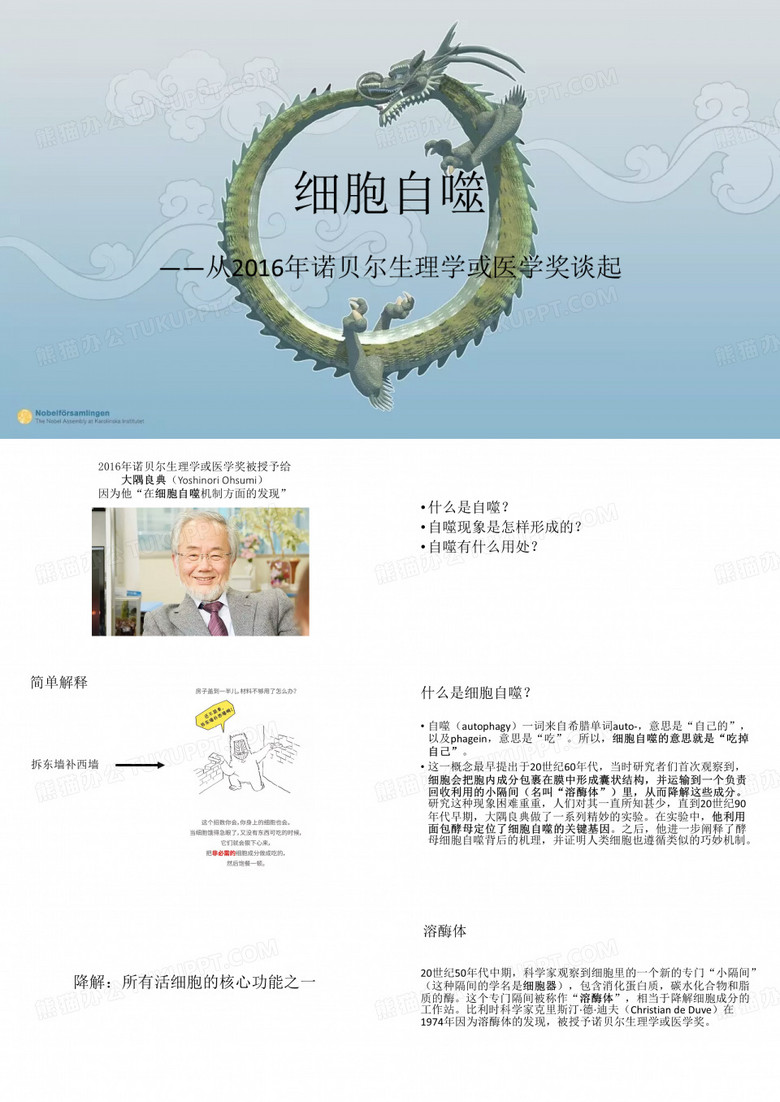 细胞自噬