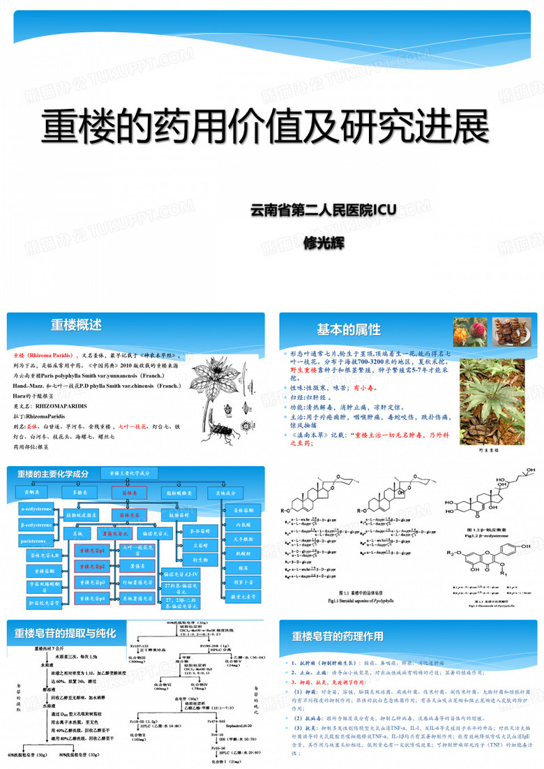 重楼的药用价值及研究进展