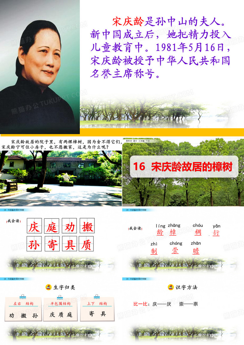 16 宋庆龄故居的樟树