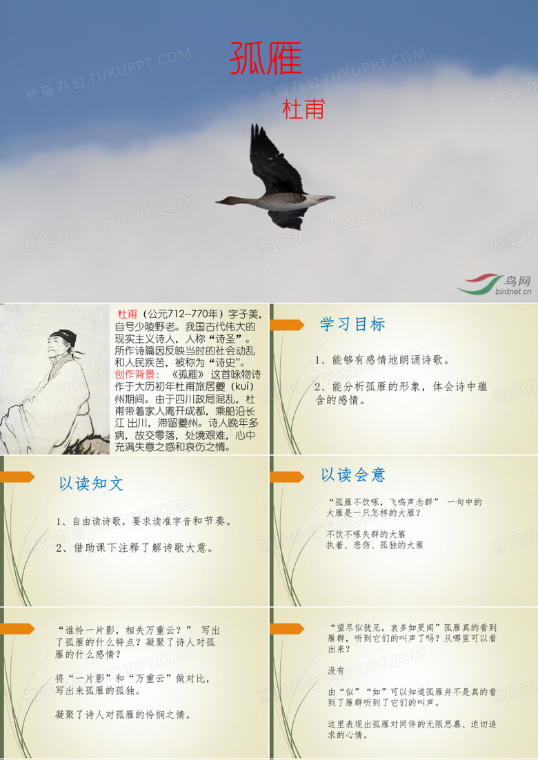 孤雁