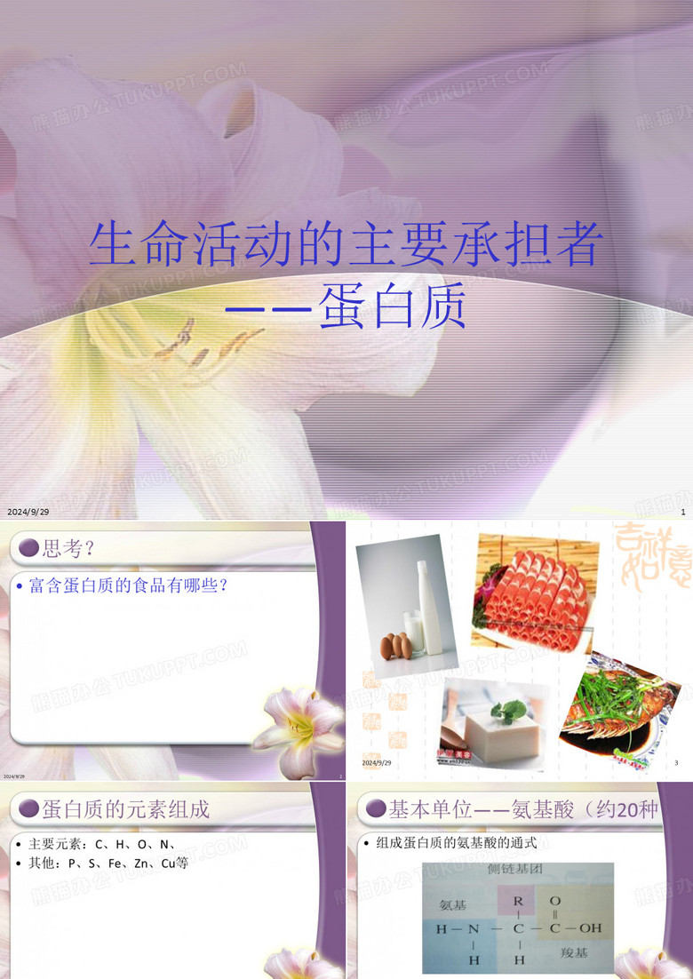 生命活动的主要承担者蛋白质