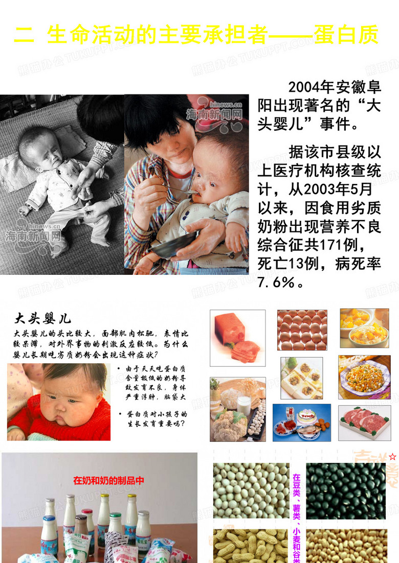 生命活动的主要承担者蛋白质