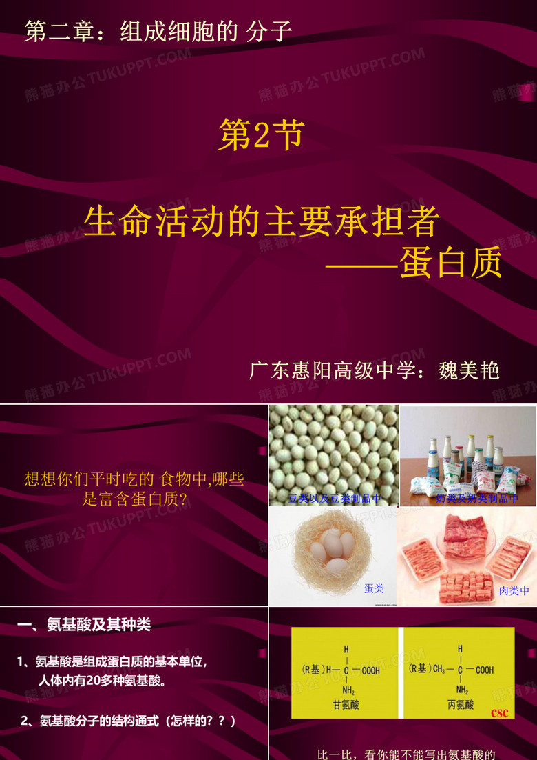 生命活动的主要承担者蛋白质