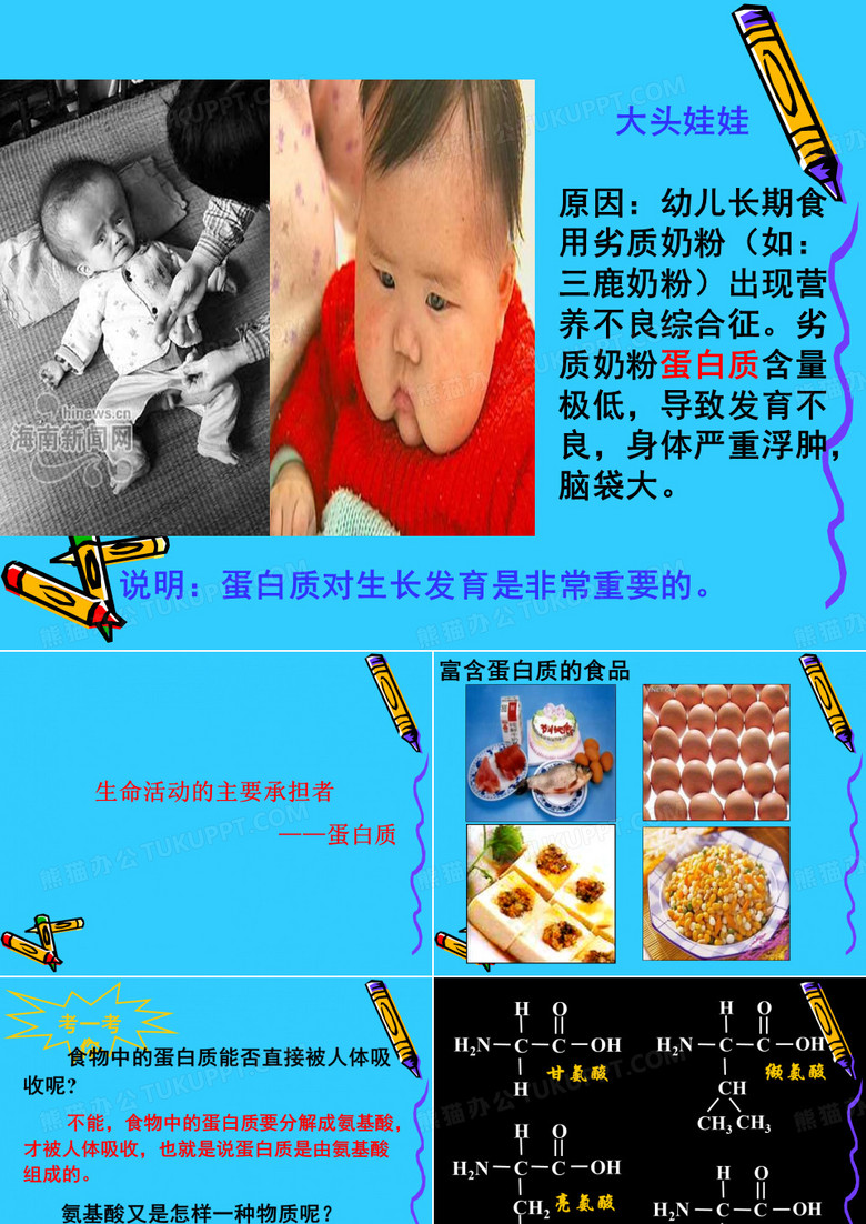 生命活动的主要承担者蛋白质