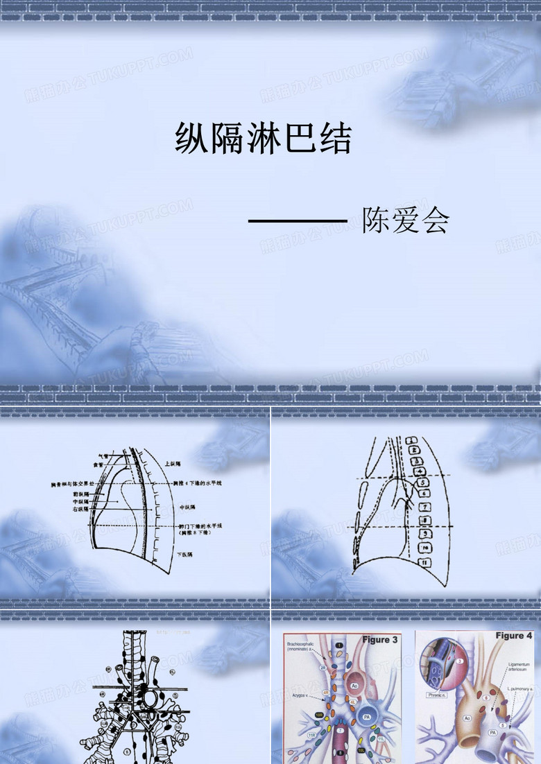 纵隔淋巴结