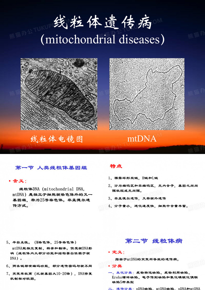 线粒体遗传病