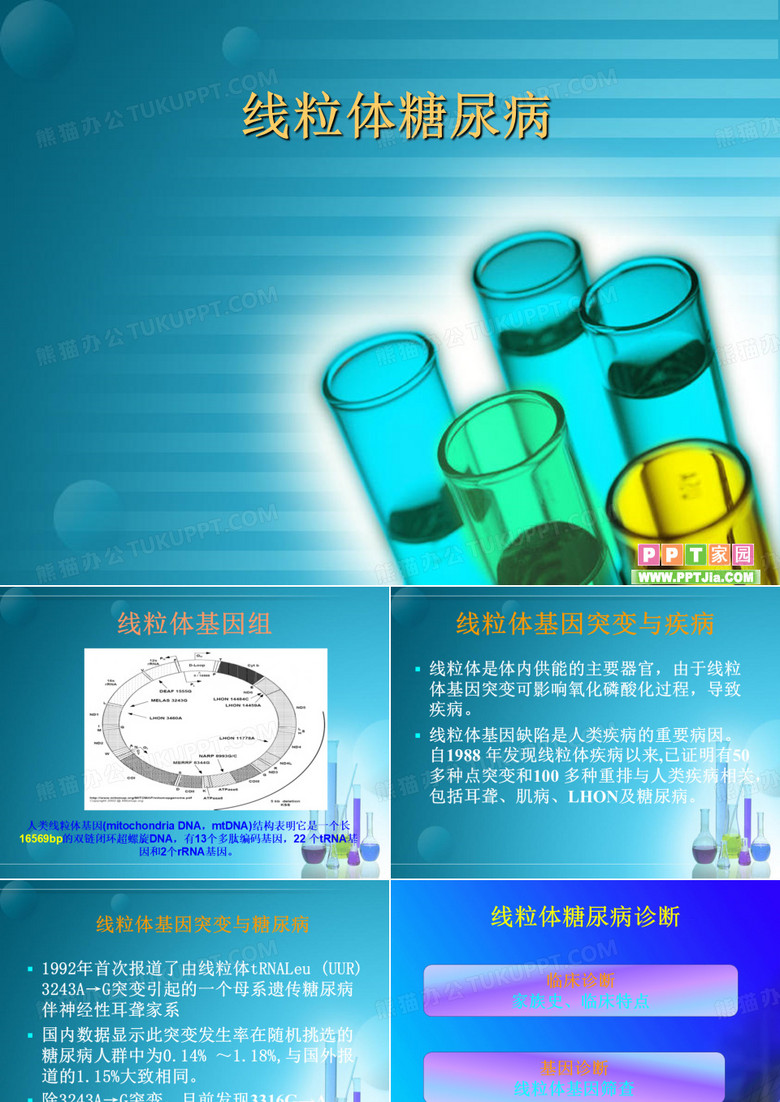 线粒体糖尿病