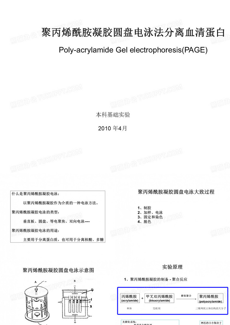 圆盘电泳