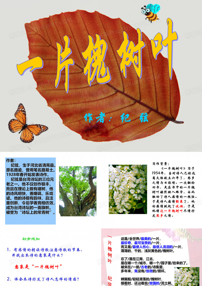 一片槐树叶课件