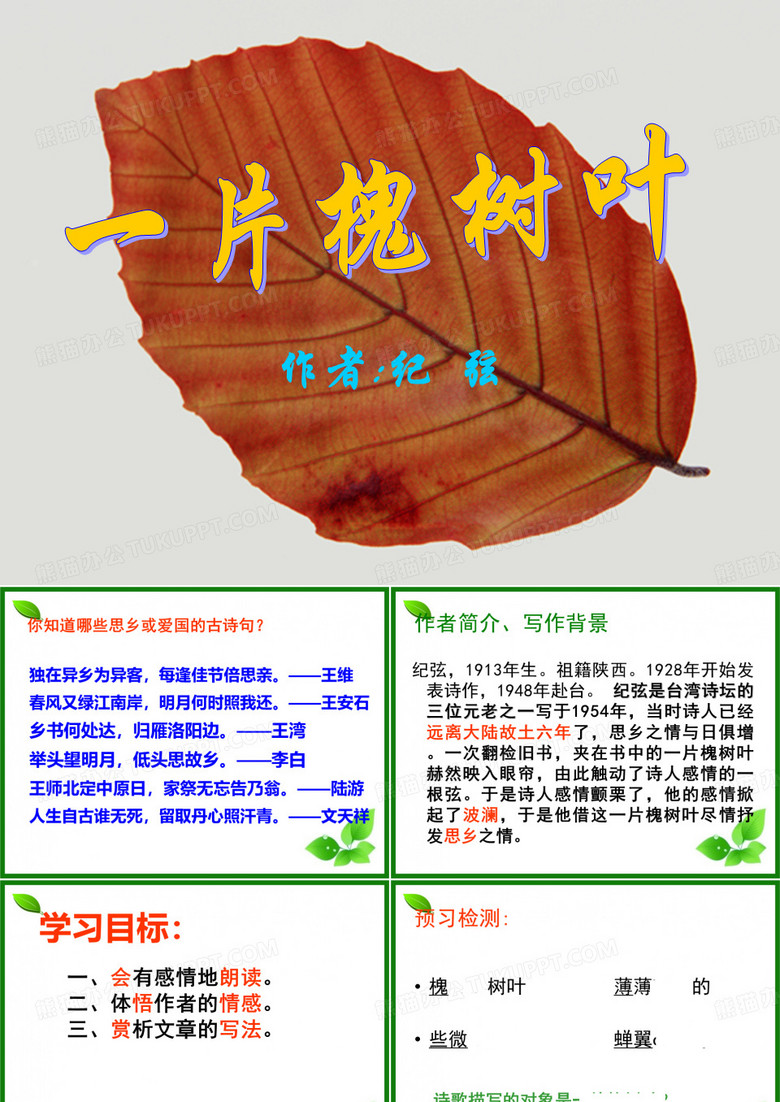 《一片槐树叶》PPT课件