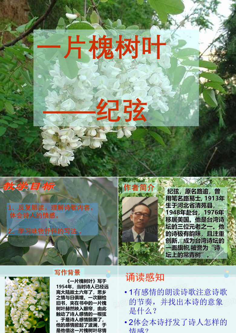 《一片槐树叶》 -公开课PPT课件