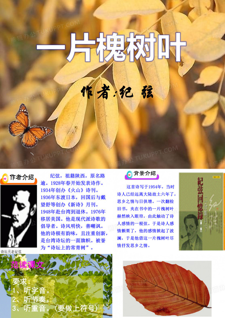 《一片槐树叶》PPT课件二