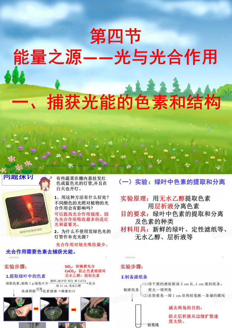 能量之源——光与光合作用