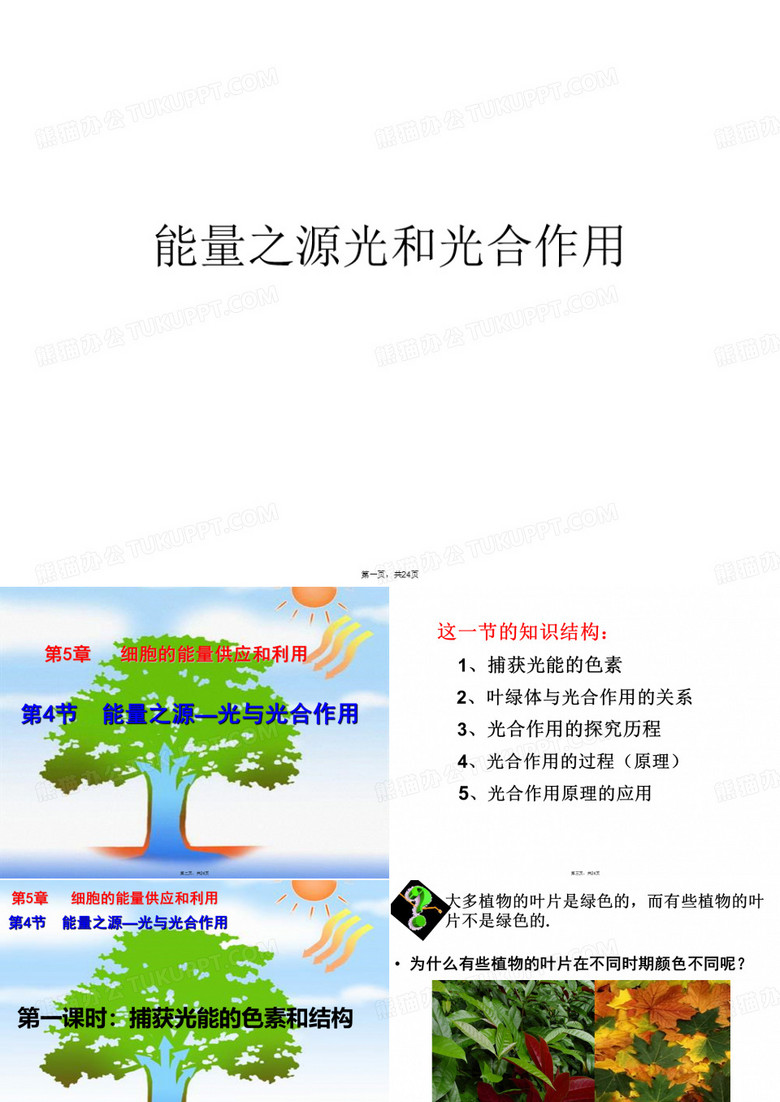 能量之源光和光合作用