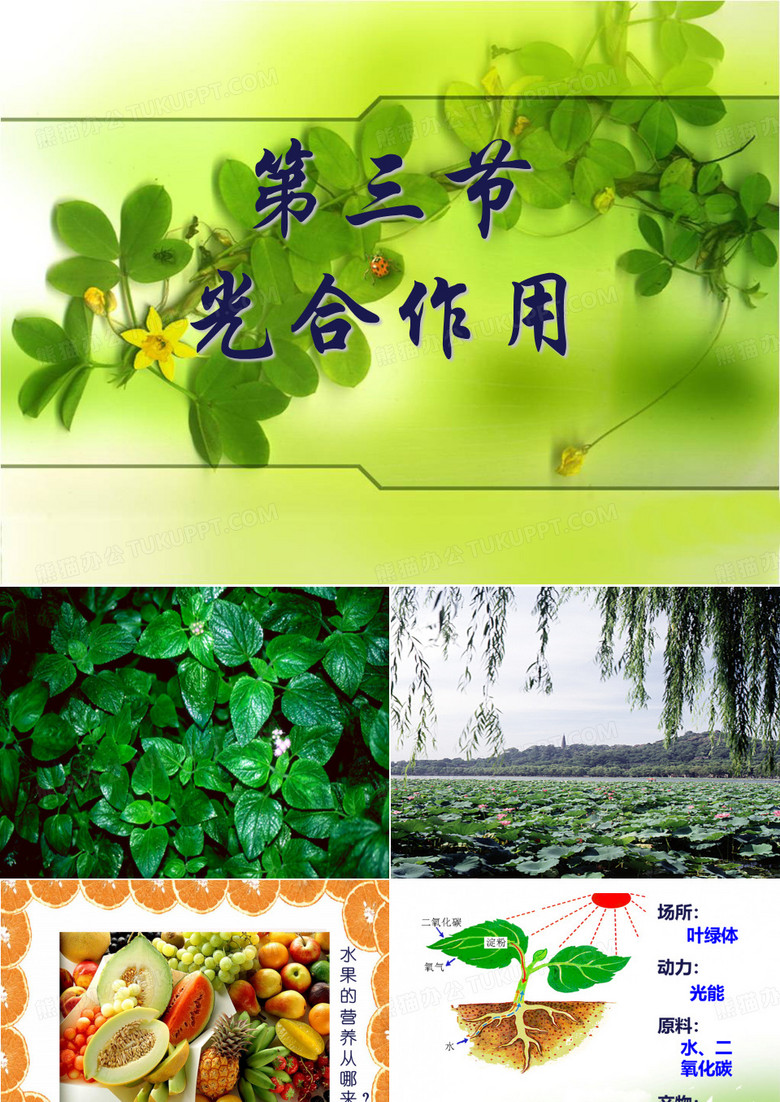 《能量之源——光与光合作用》教学课件