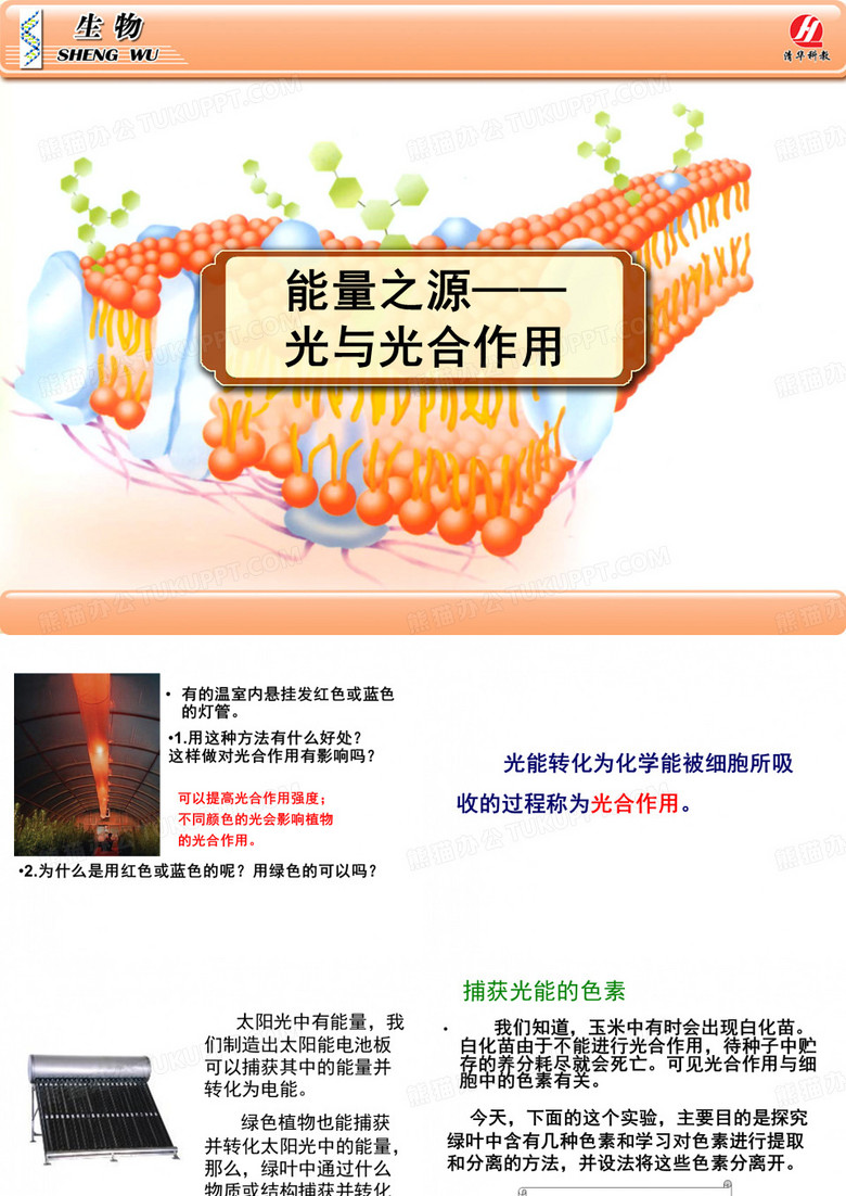 《能量之源——光与光合作用》PPT课件