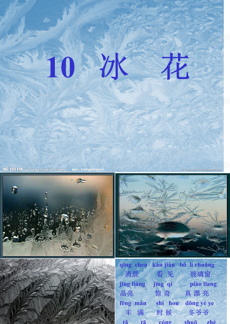 10冰花PPT