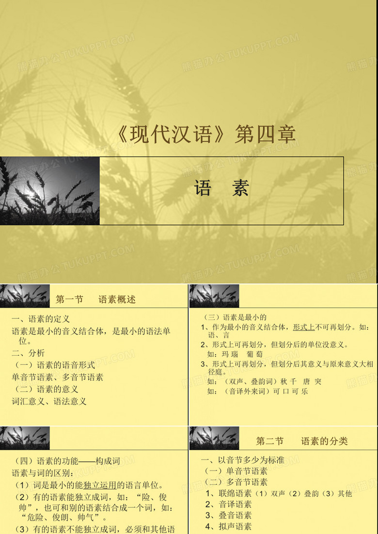 《现代汉语》第四章语素