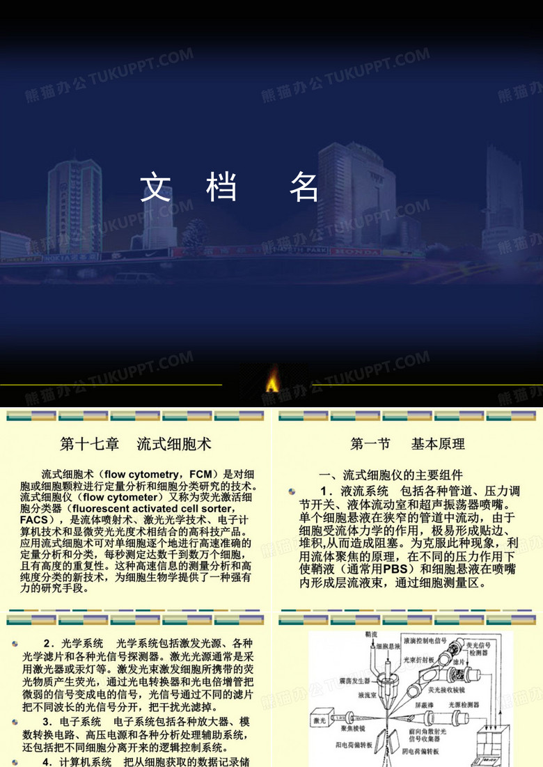 流式细胞术