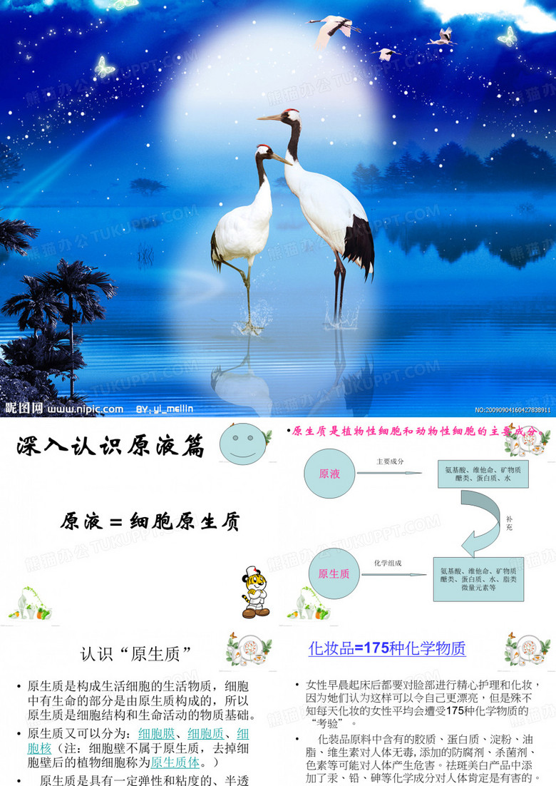 人体排毒