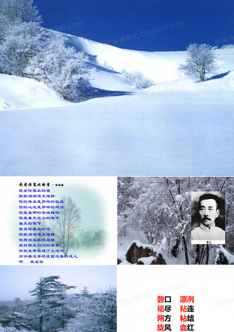 鲁迅的雪赏析(课件)