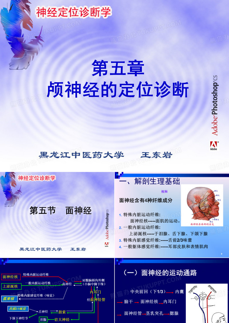 面神经