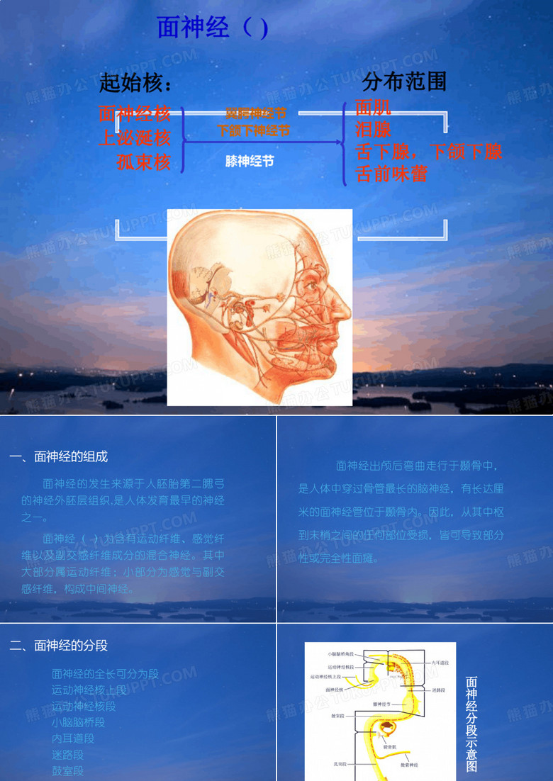 面神经解剖