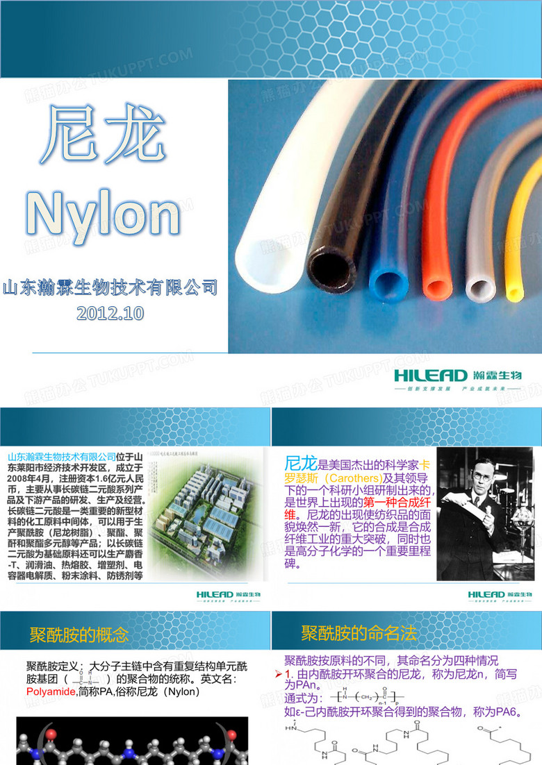 尼龙简介