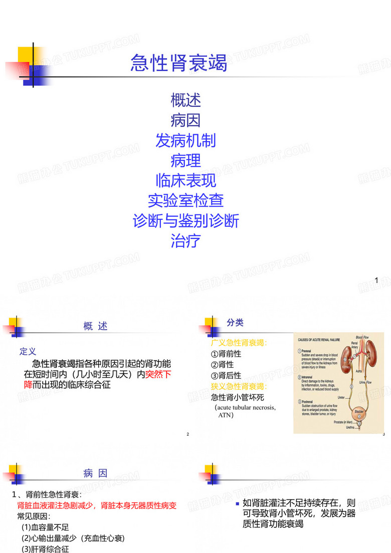 熊燕急性肾衰竭