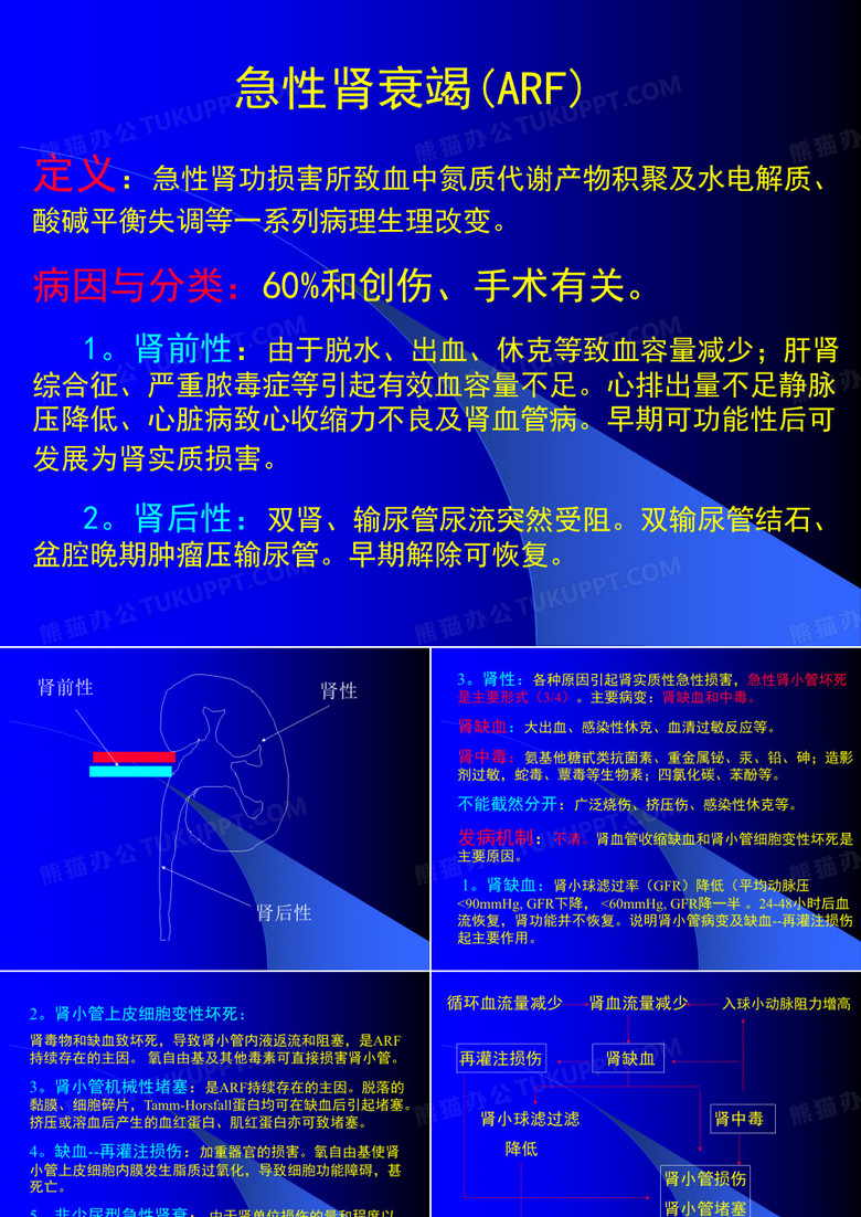 急性肾衰竭(ARF)