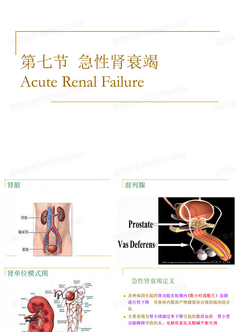 急性肾衰竭ppt